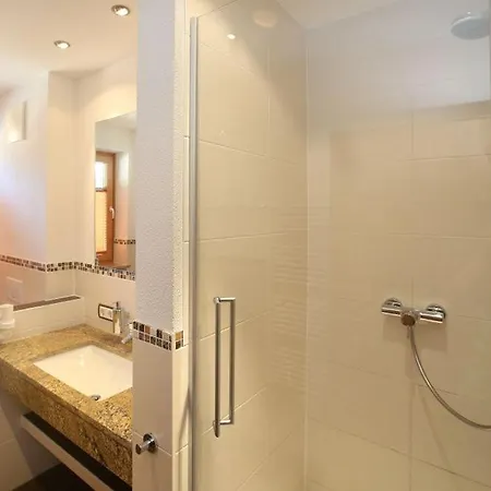 Gaestehaus Trixl Apartment Zell am See