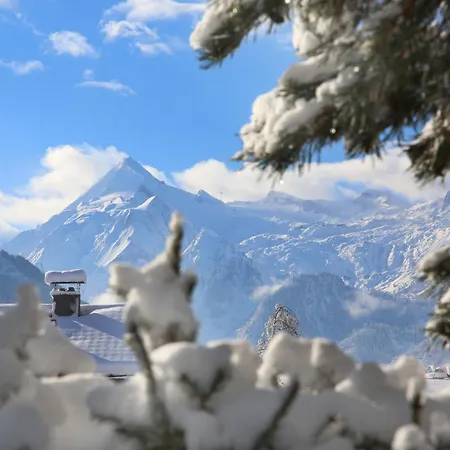 Gaestehaus Trixl * Zell am See